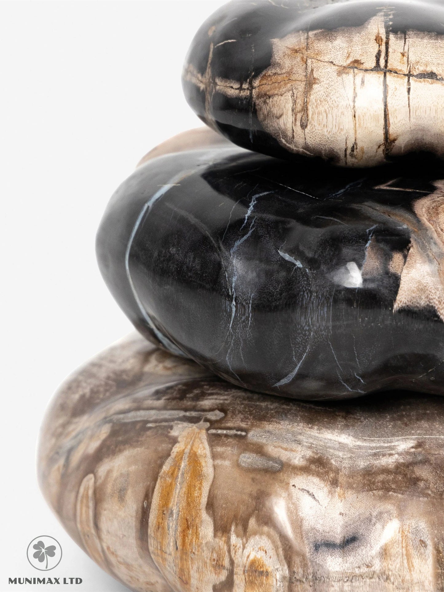 Yada Wood Fossil Sculpture